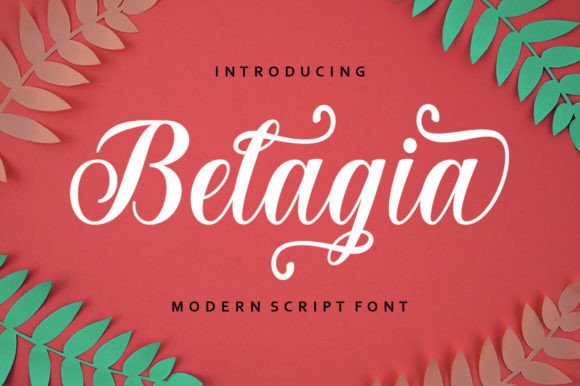 Belagia Script: Crafting Natural Elegance for Your Brand's Voice