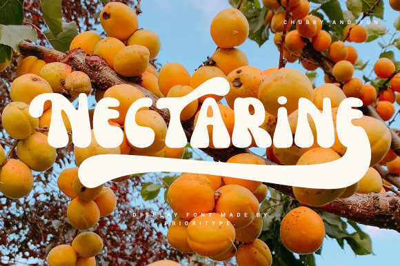 Rediscovering Retro Charm with the Nectarine Font